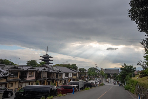 20230719-P7191276-HDR