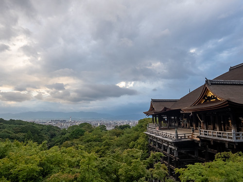 20230719-P7191309-HDR